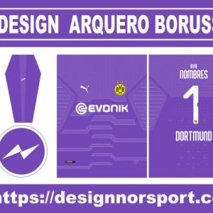 DESIGN ARQUERO BORUSSIA