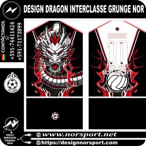 DESIGN DRAGON INTERCLASSE GRUNGE NOR