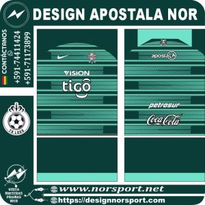 DESIGN APOSTALA NOR