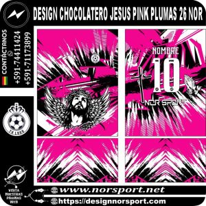 DESIGN CHOCOLATERO JESUS PINK PLUMAS 26 NOR