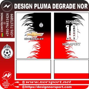 DESIGN PLUMA DEGRADE NOR